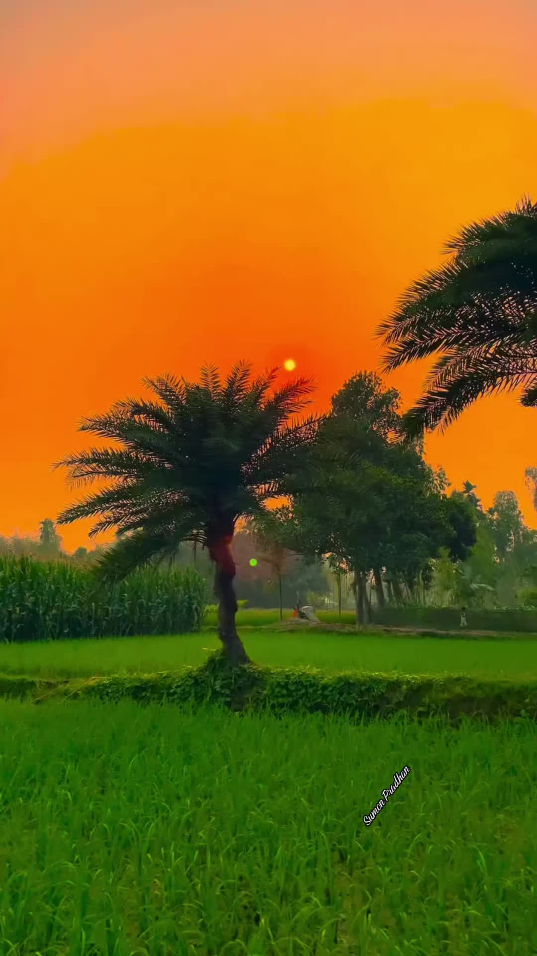 @🌹সুমন প্রধান 🇧🇩🛬🛬🇱🇷🇱🇷