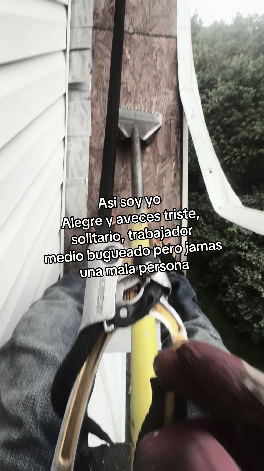@francisco.gt5.0.2