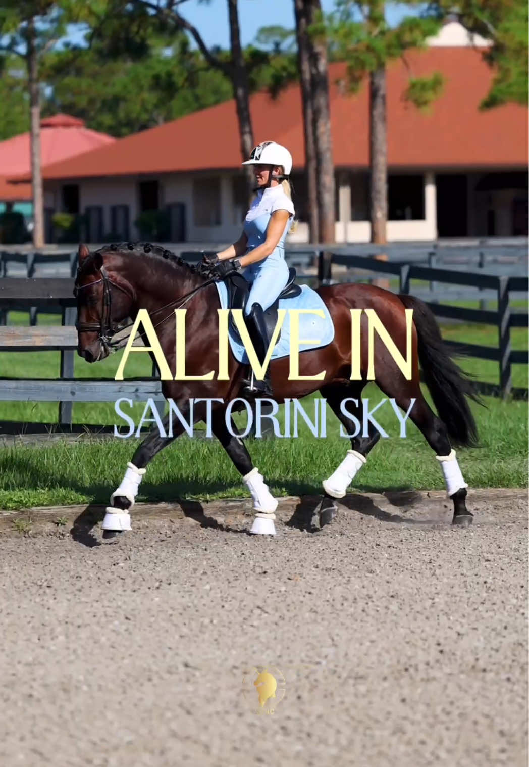 @Sync Equestrian