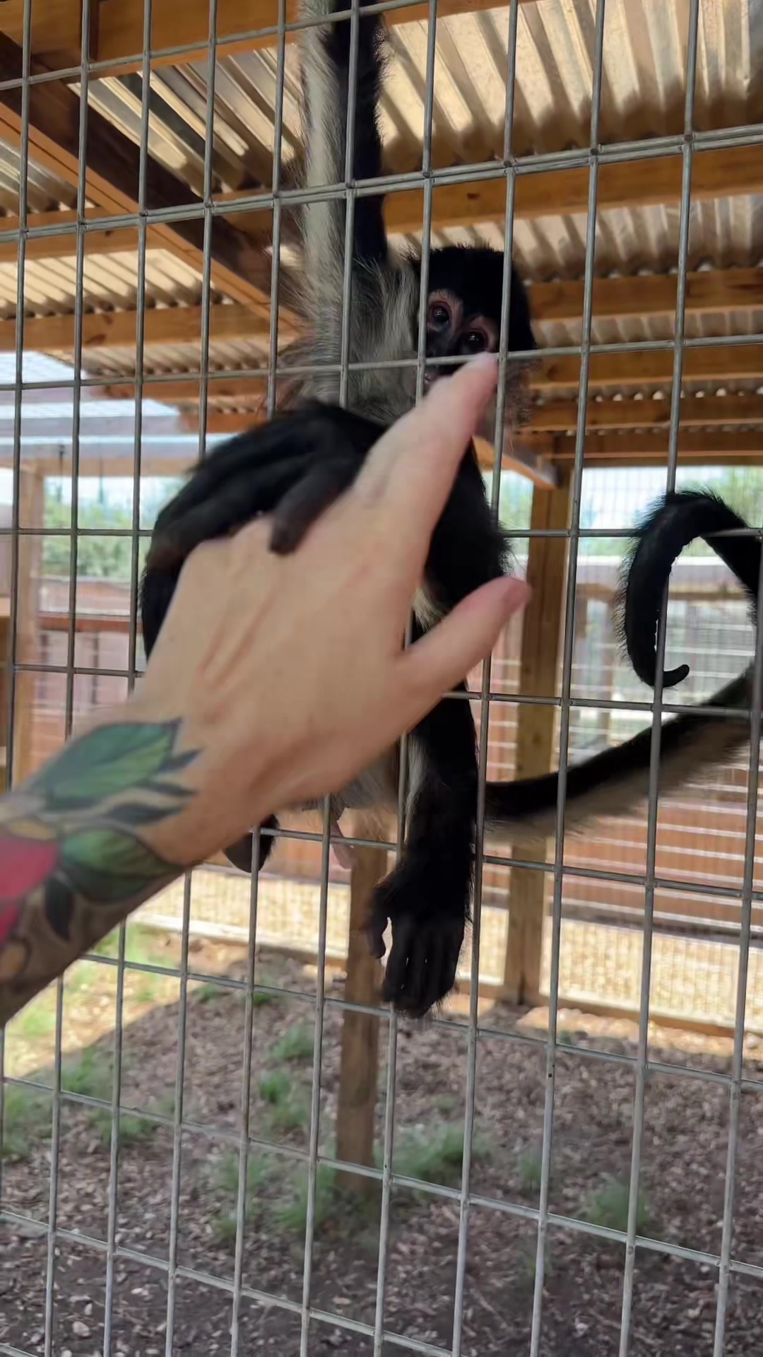 @Texas Wildlife Park