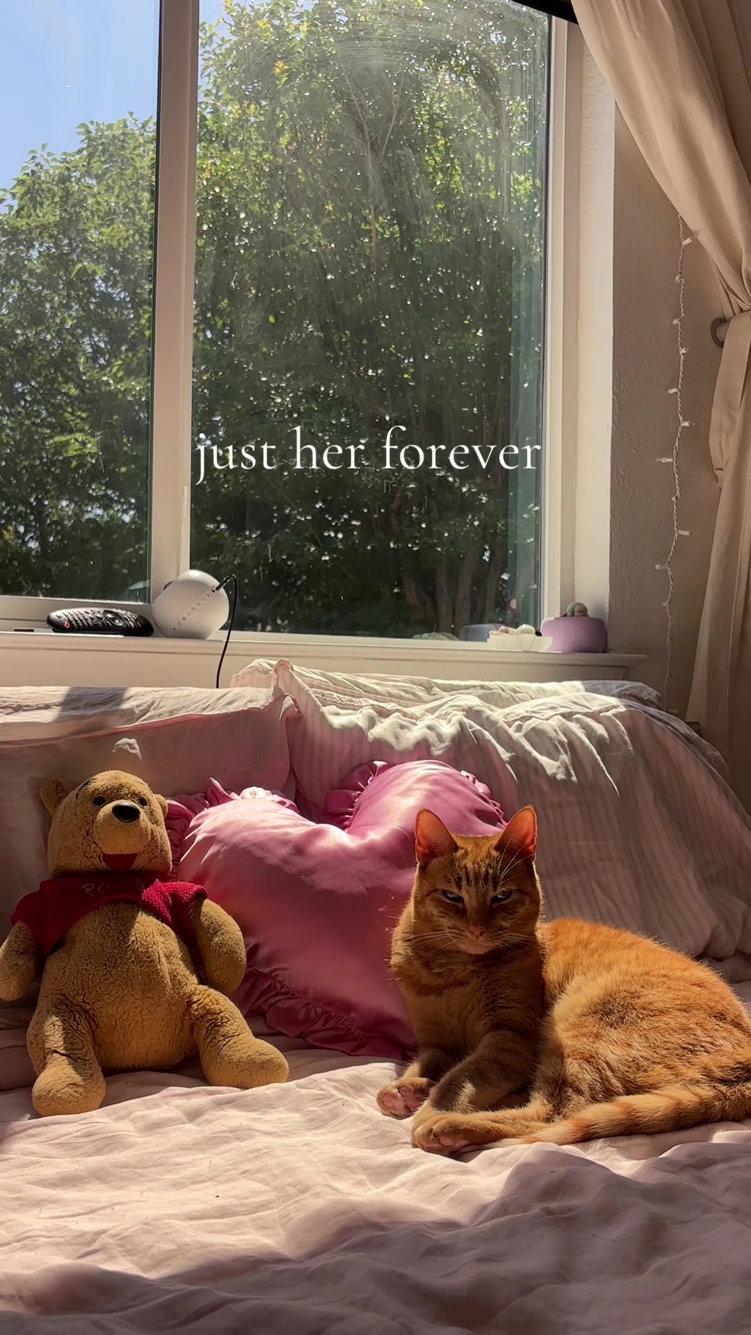 @𝓇ℯ𝓃ℯℯ ♡ ⋆｡˚ ♪