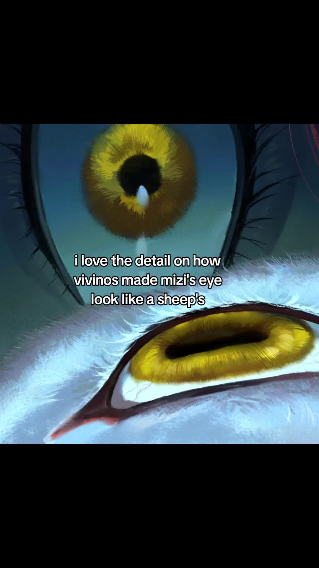 @vixen / N1 mizi fan