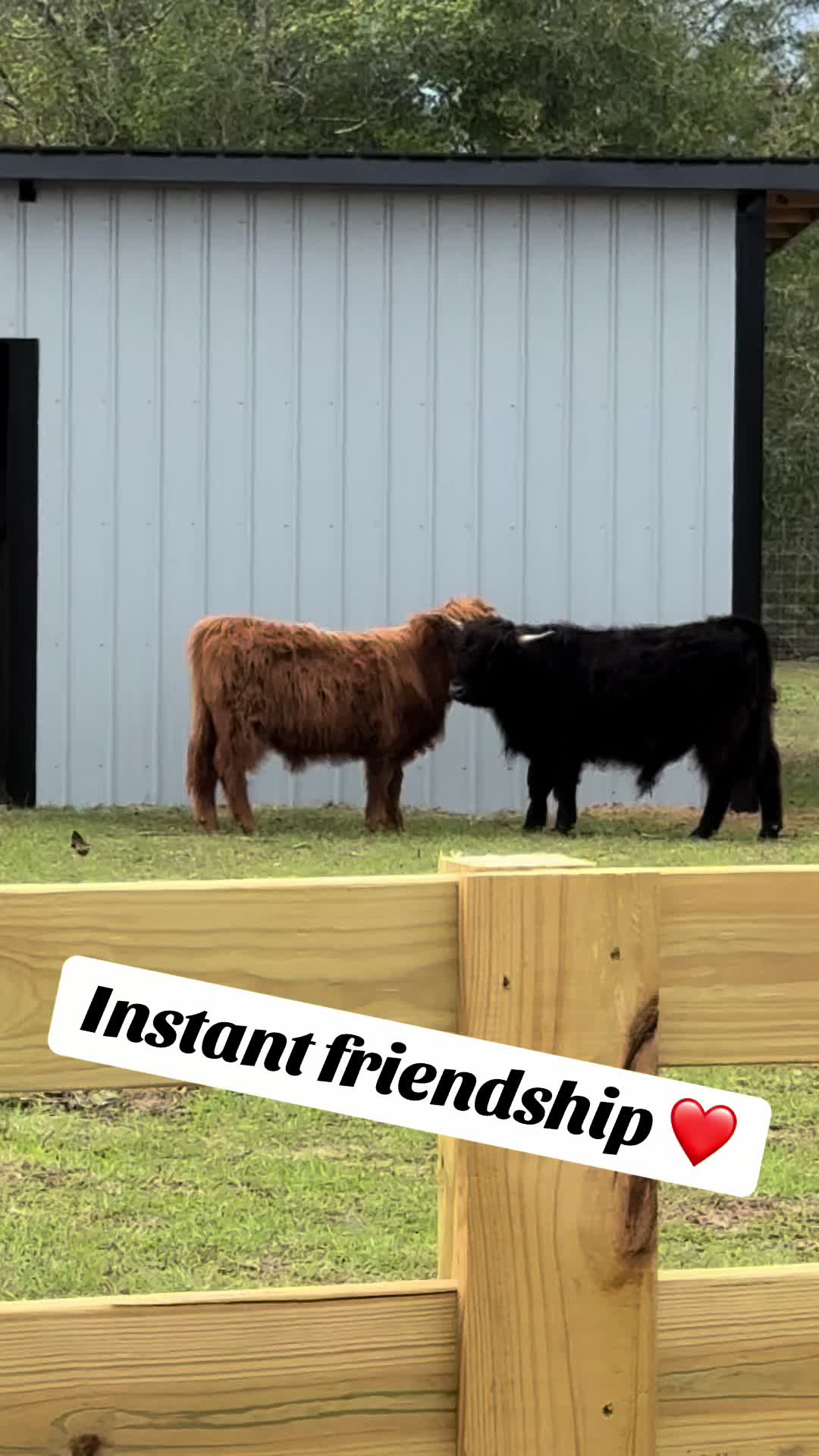 @WildernessRanch