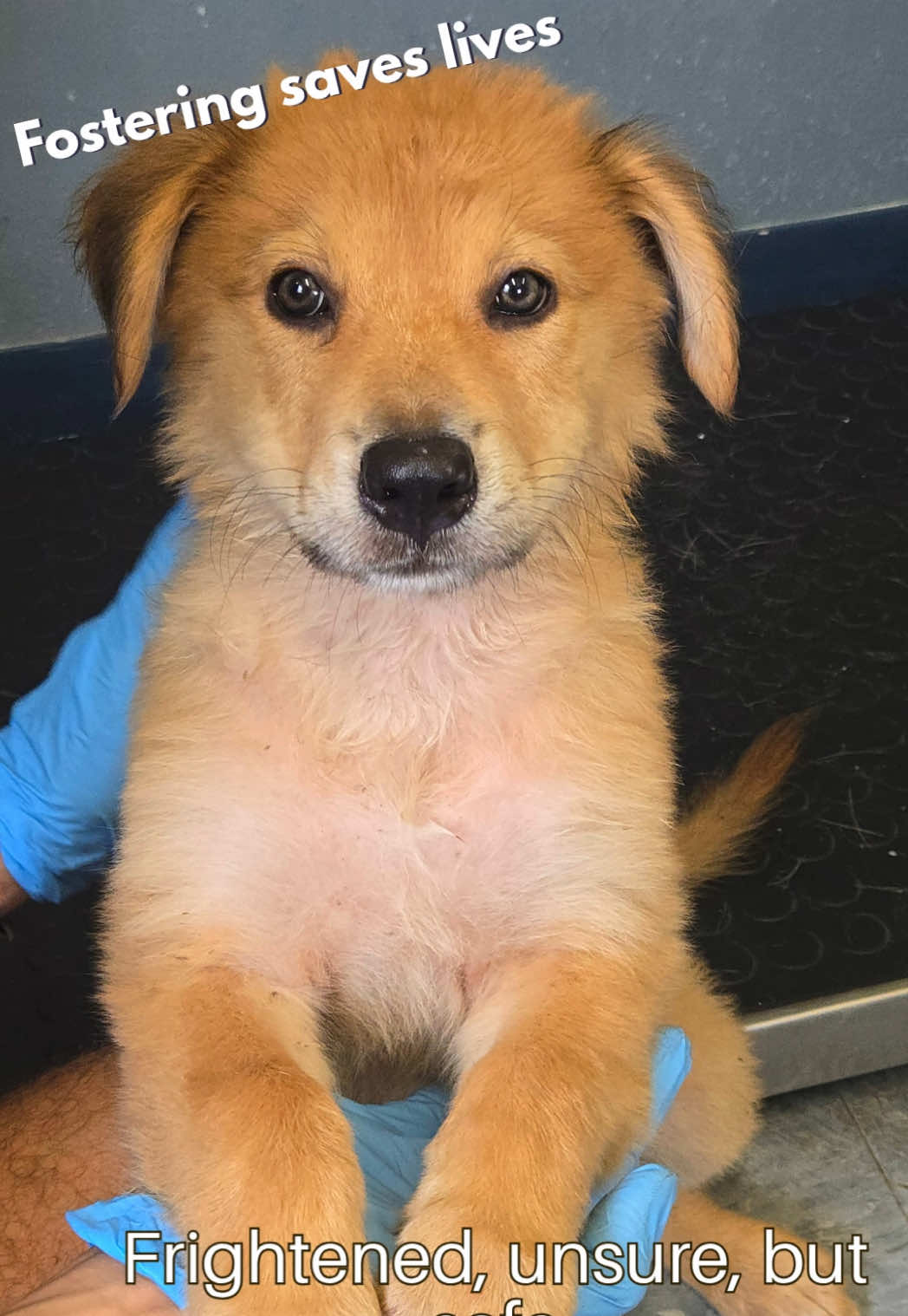 @Corridor Rescue Inc.