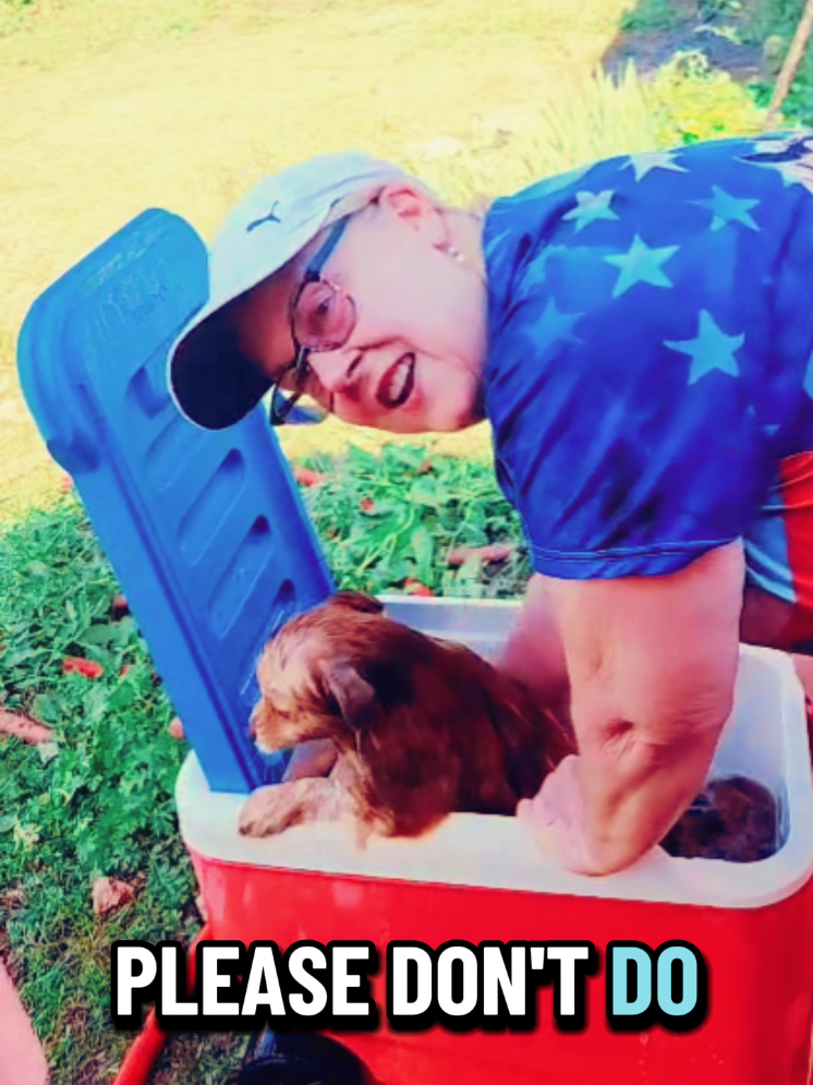 @Pompoochie
