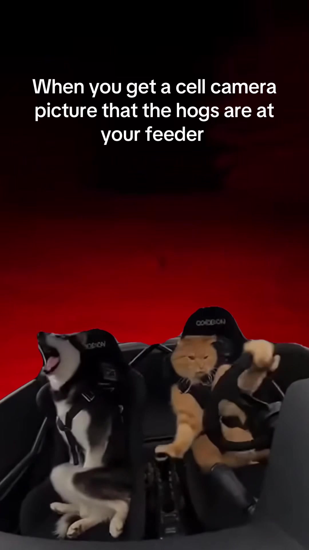 @TPHH