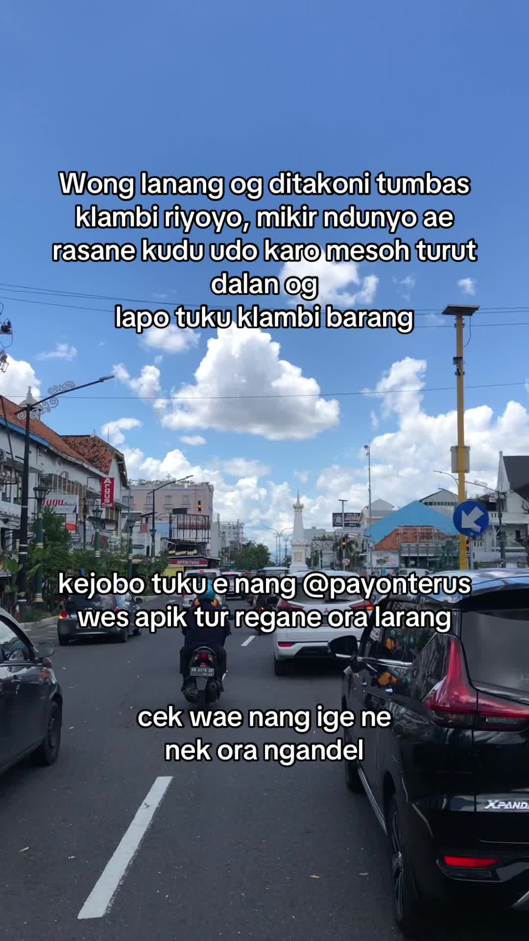 @pyntrs market