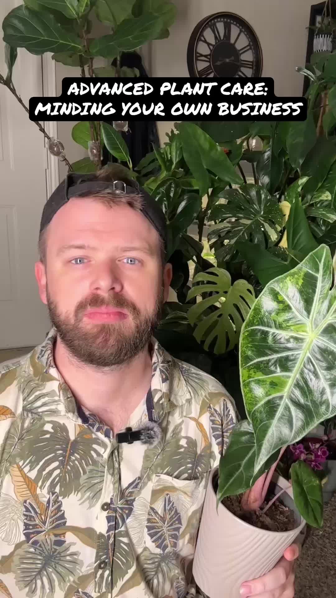 @🌱yler✨Beatty&rsquo;s Botanics