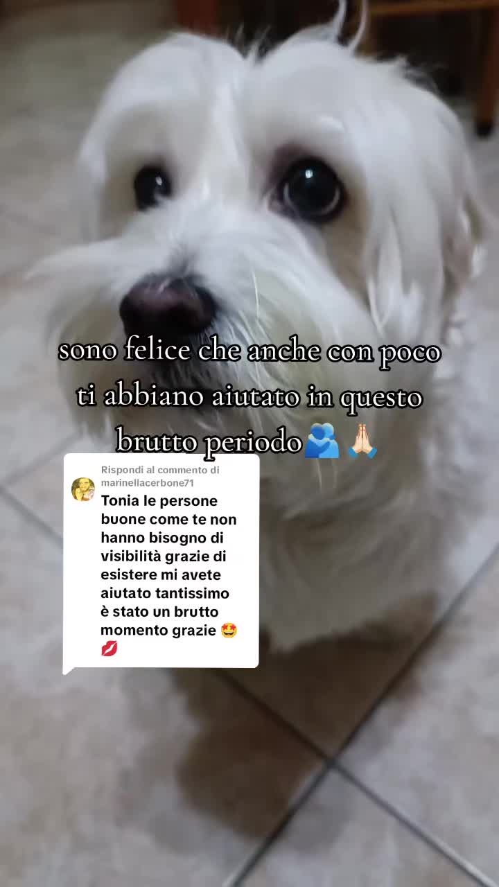 @Tonia E Neve ❤️