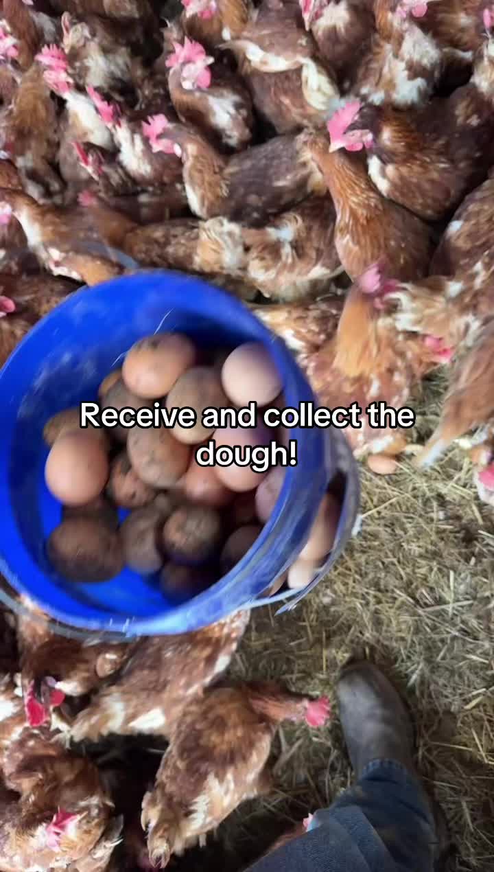 @tripleclivestock