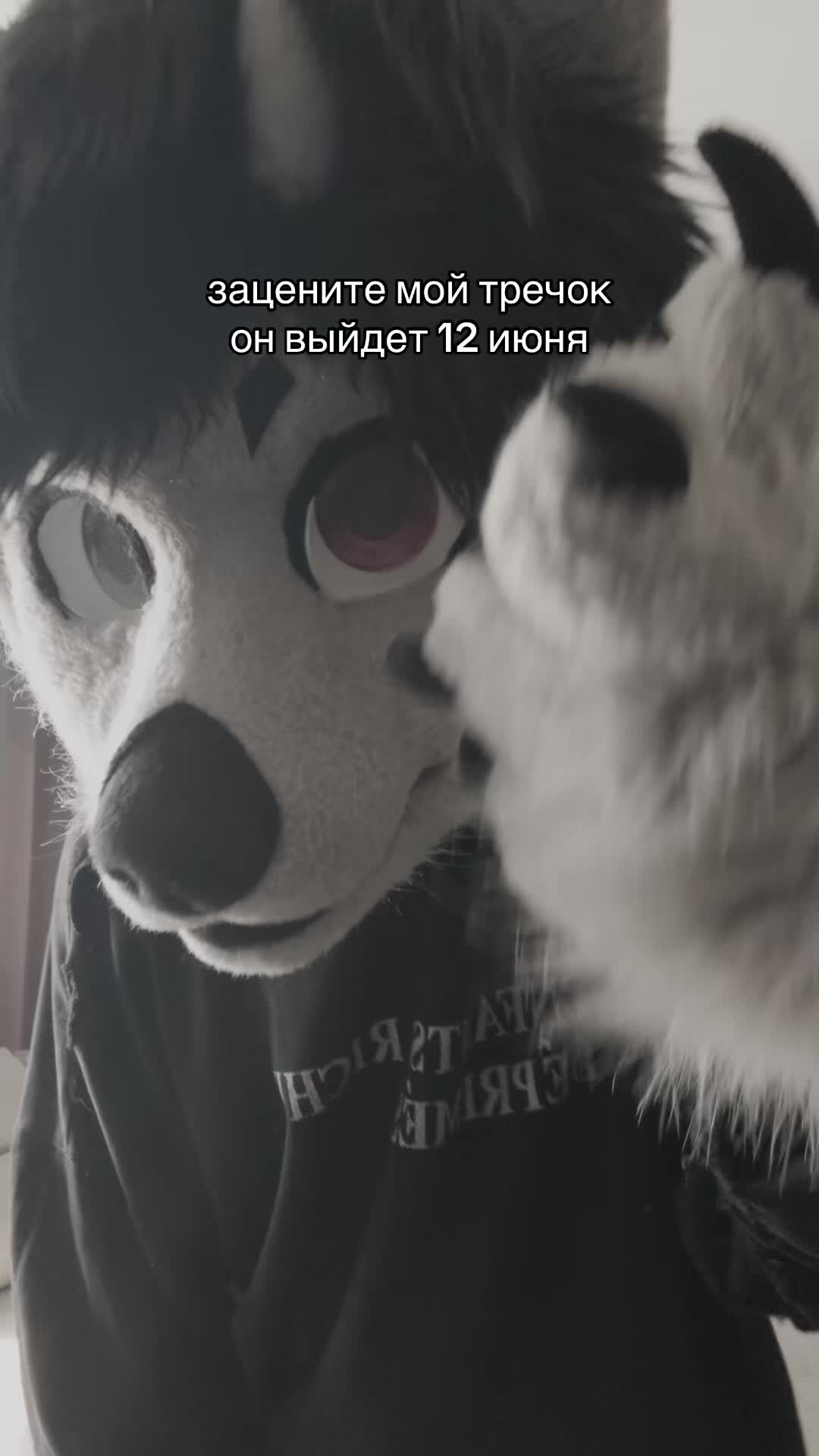 @фыркалко 🐾