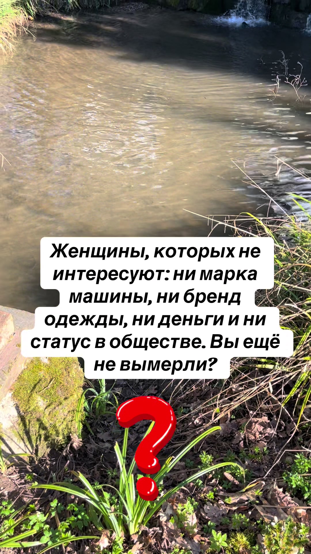 @Viktoria