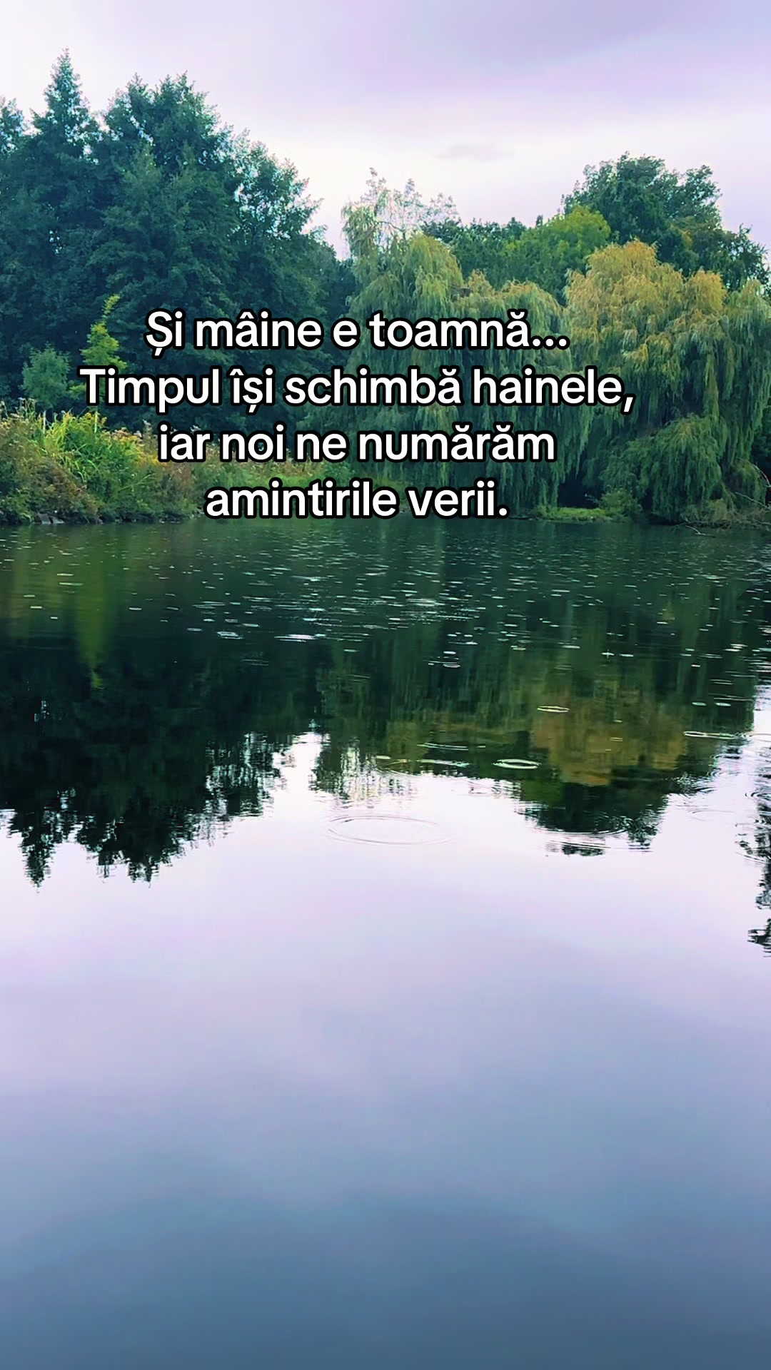 @Alina
