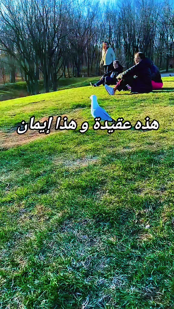 @Cherni