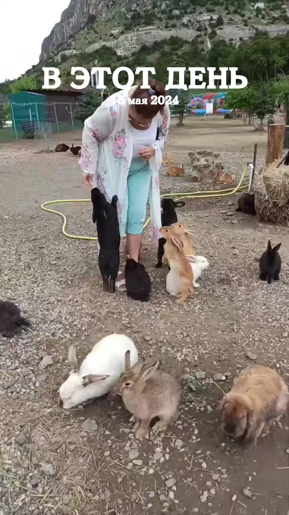 @КРЫМЧАЙНИК ✌️