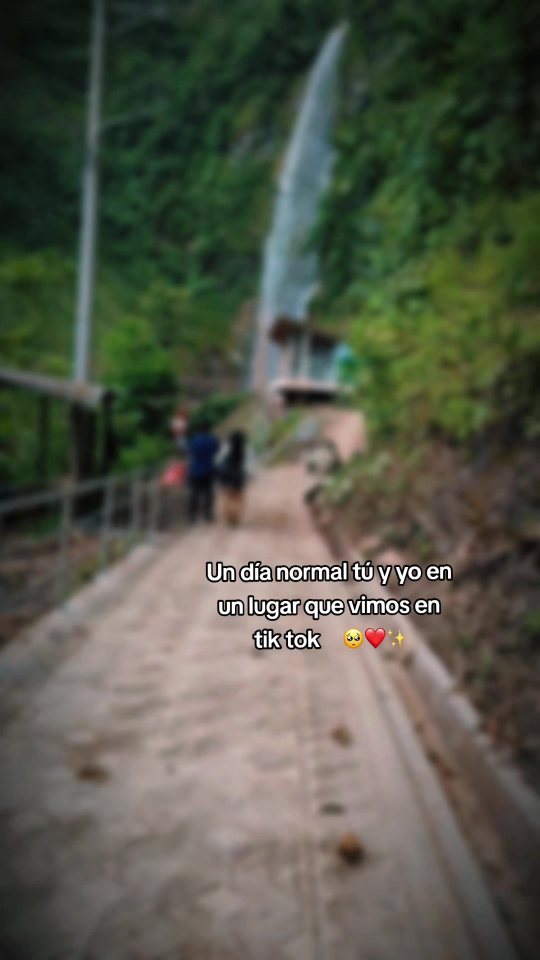 @Lia 🤍