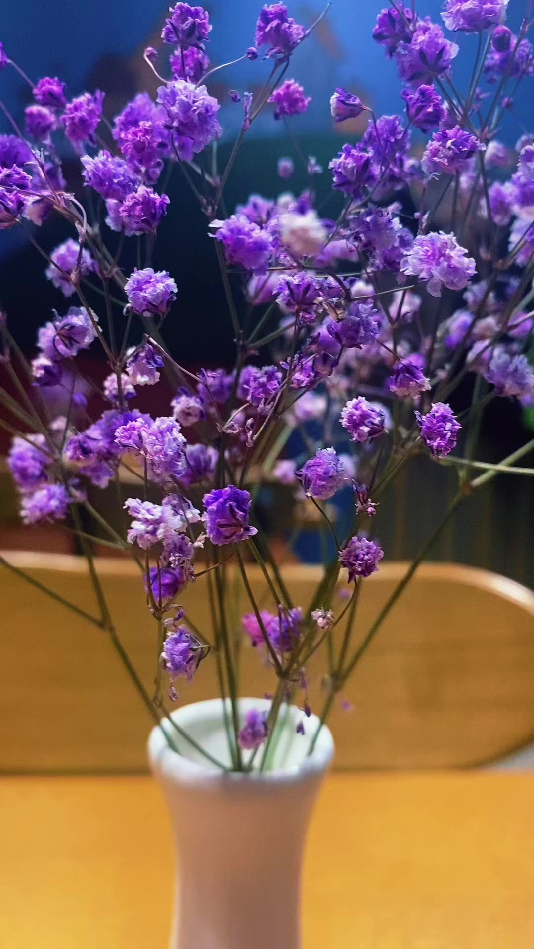 @Відьма 🐦&zwj;🔥