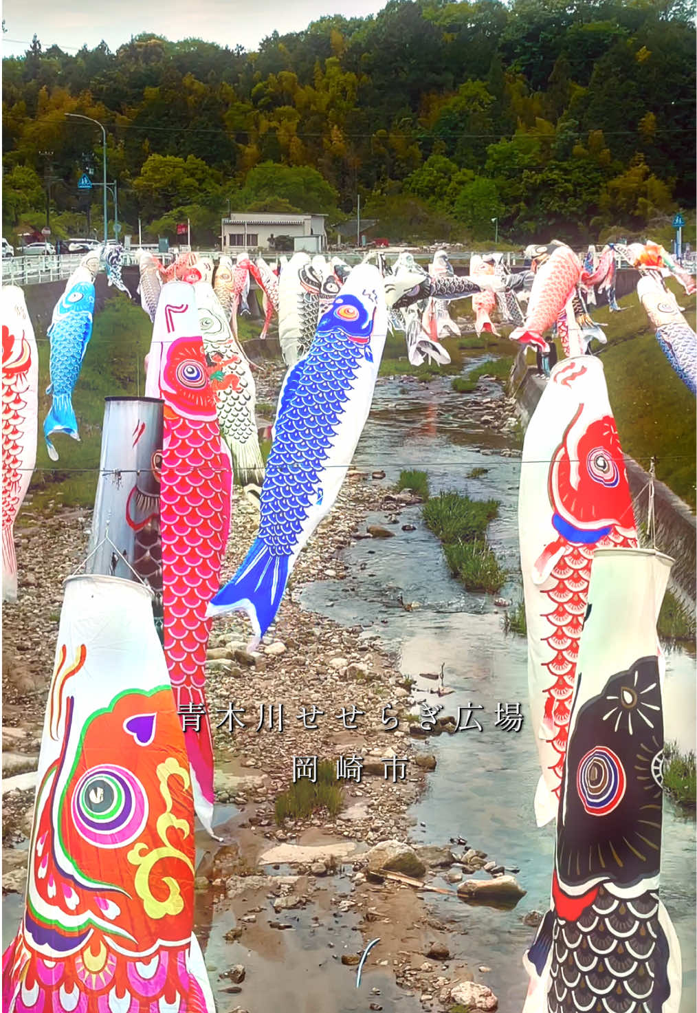 @Aichi_Traveler🎌