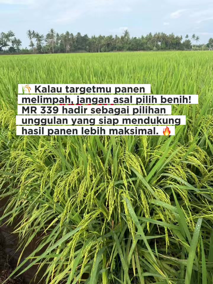 @PT. BHD INDONESIA