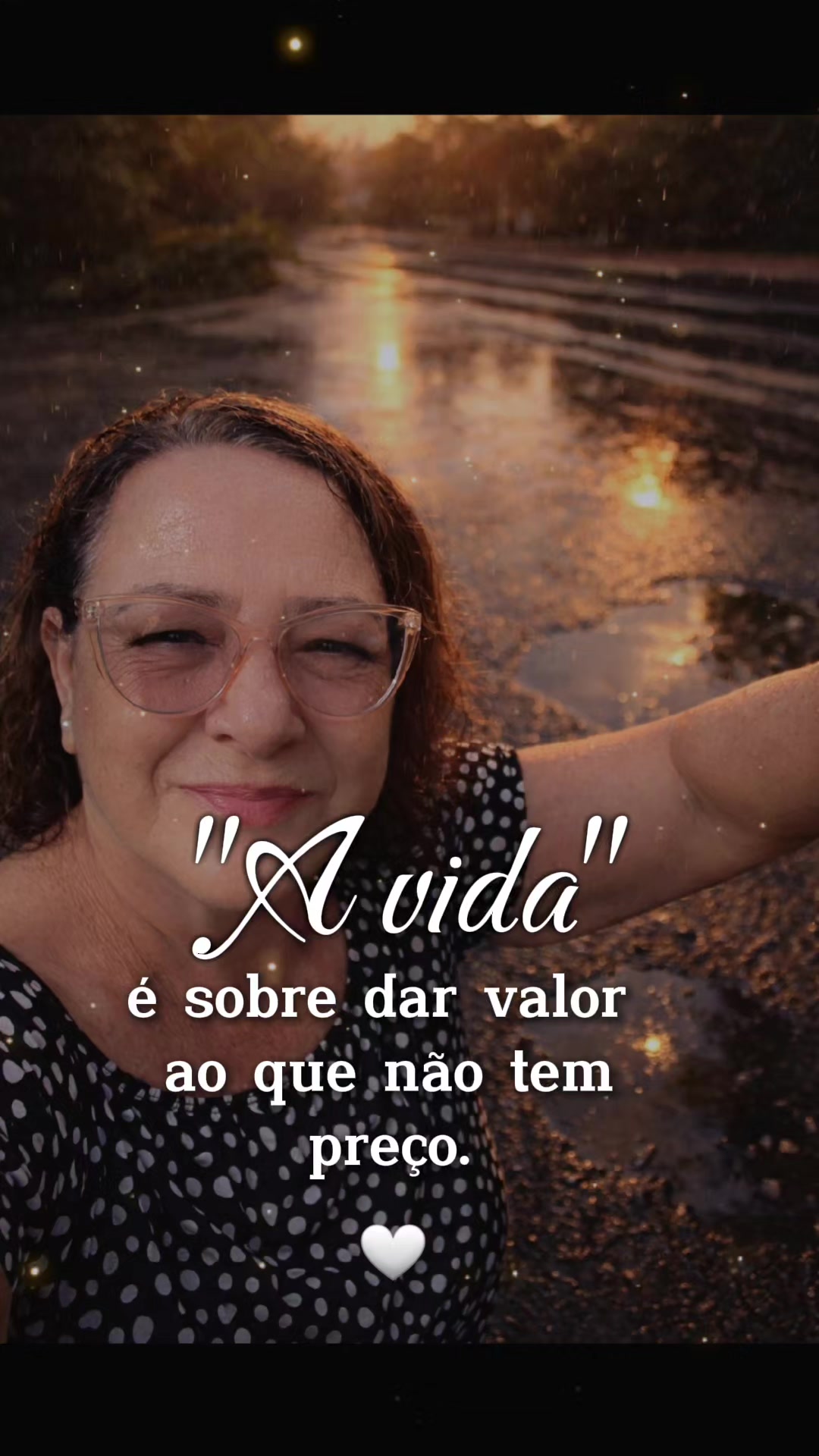 @cidarocha740