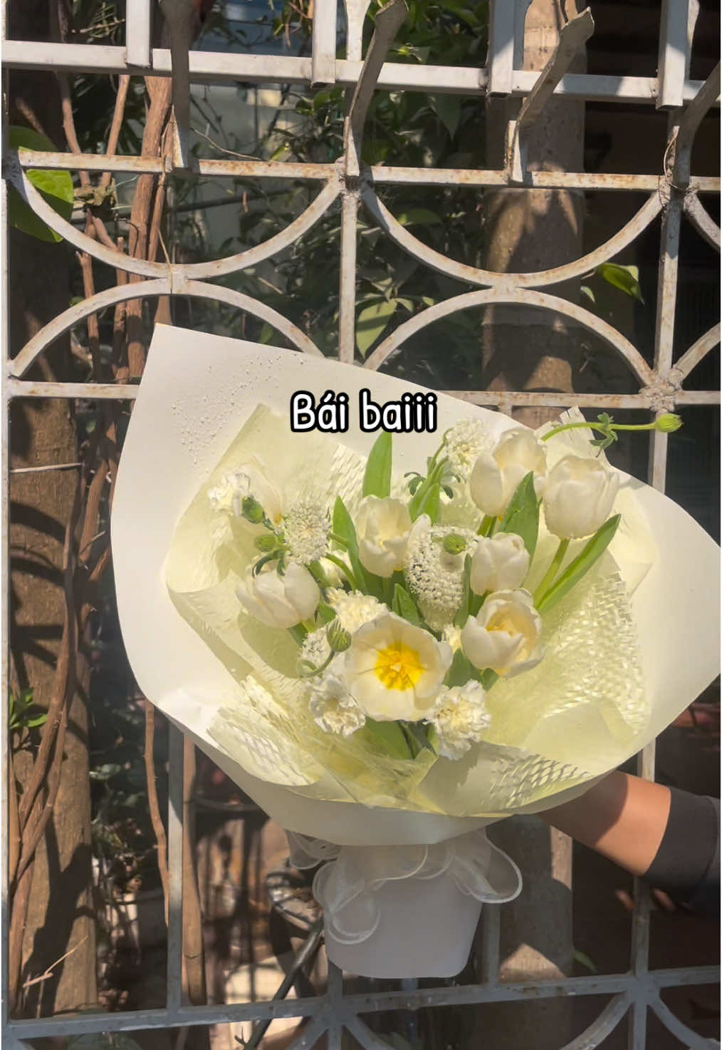 @Thợ hoa trong ngõ