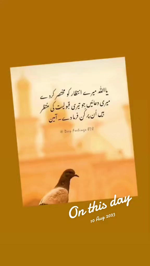 @Dua Fatima⚘🌷⚘🇦🇪