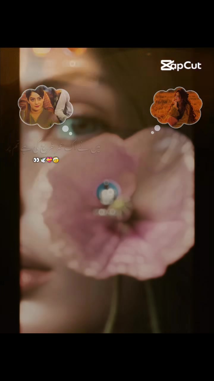 @🌸B Î S H Ü Ü🌸