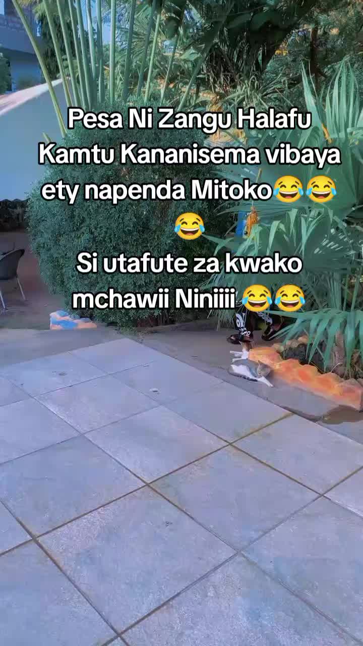 @Khamz Jr