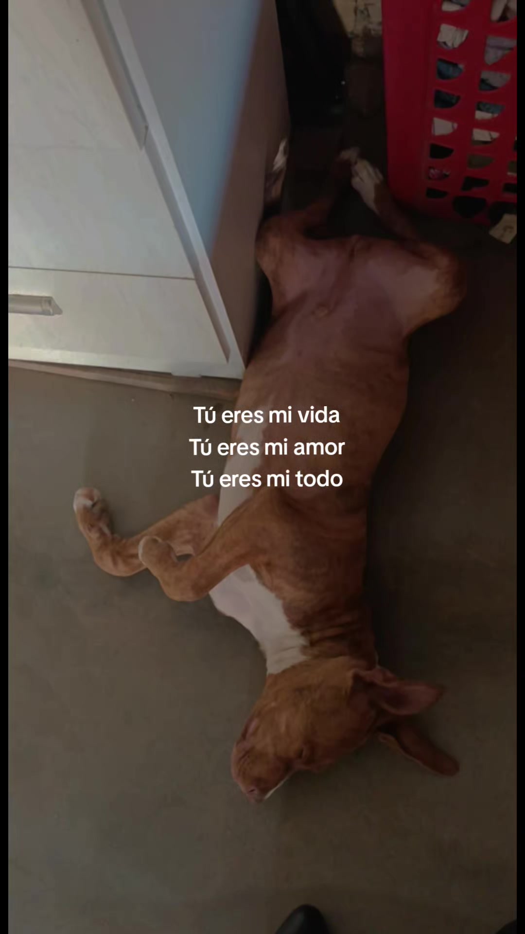 @️Noe:)