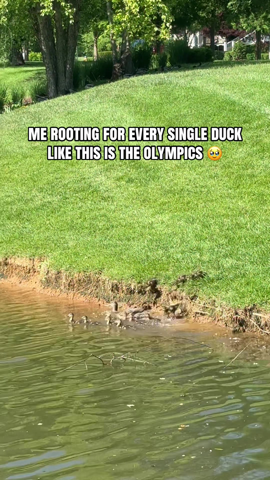 @emilyunscripted