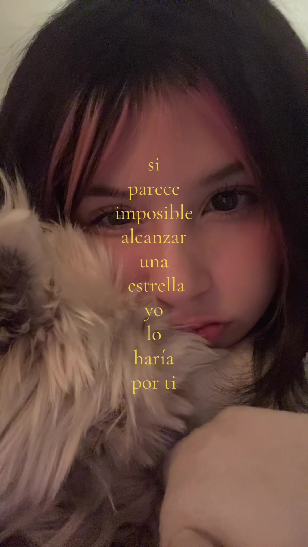 @amii