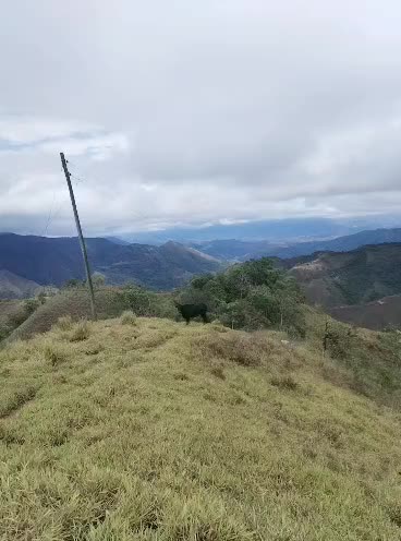 @Salomón Lima 🏹🇪🇨🤗