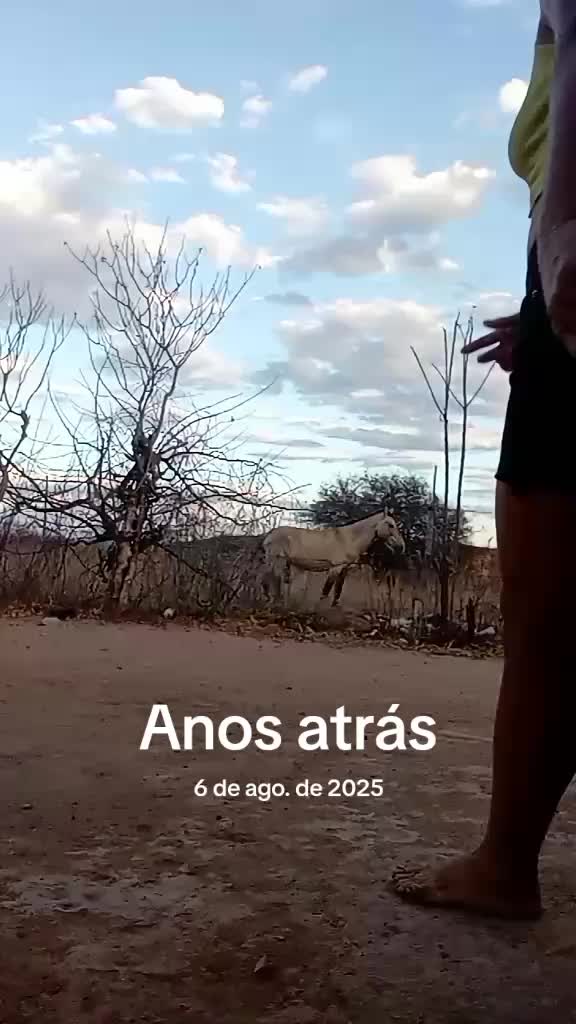 @Ana Sousa