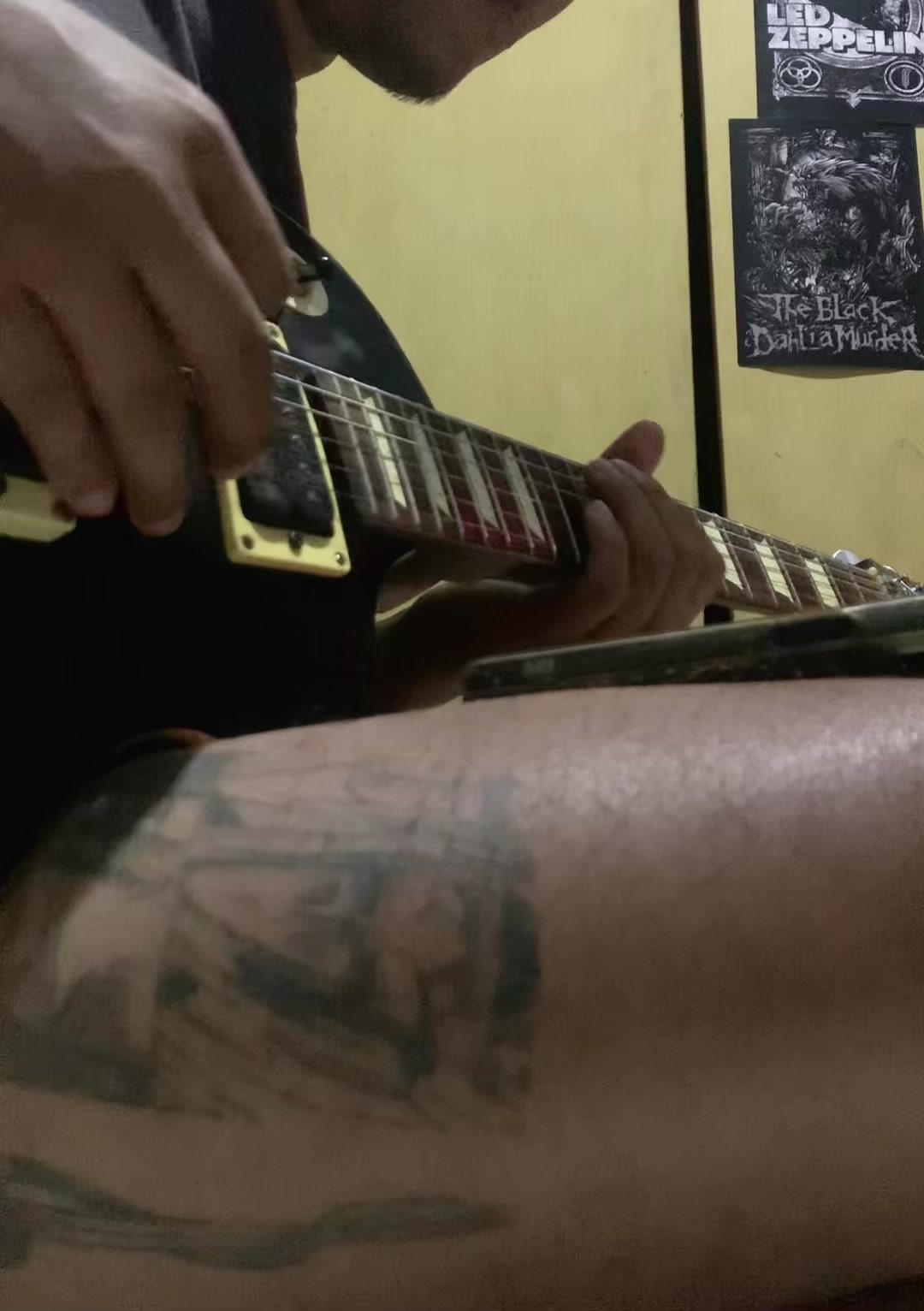 @widikka_