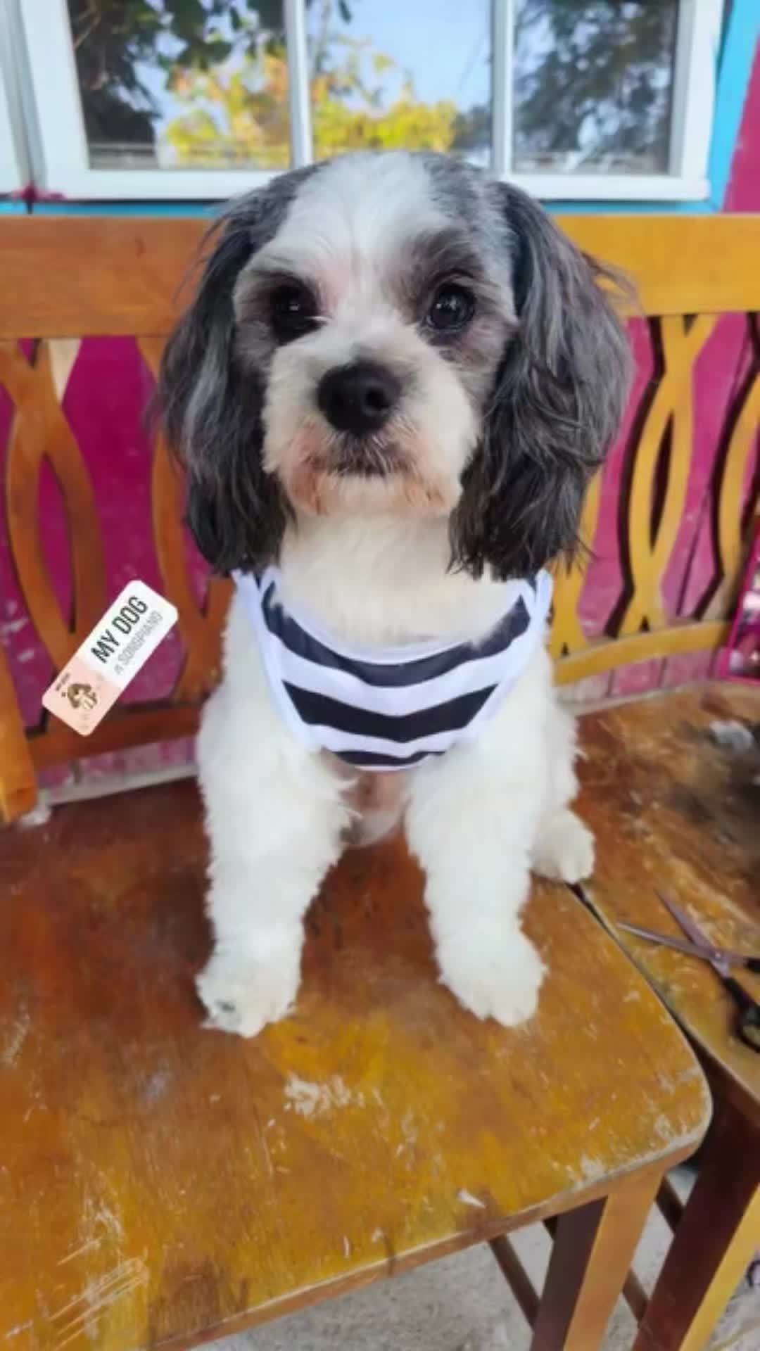 @Nory González