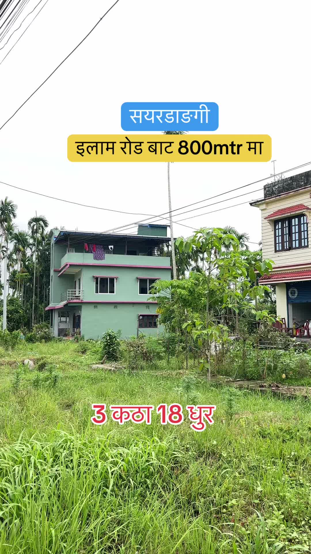 @Maikal ghar jagga