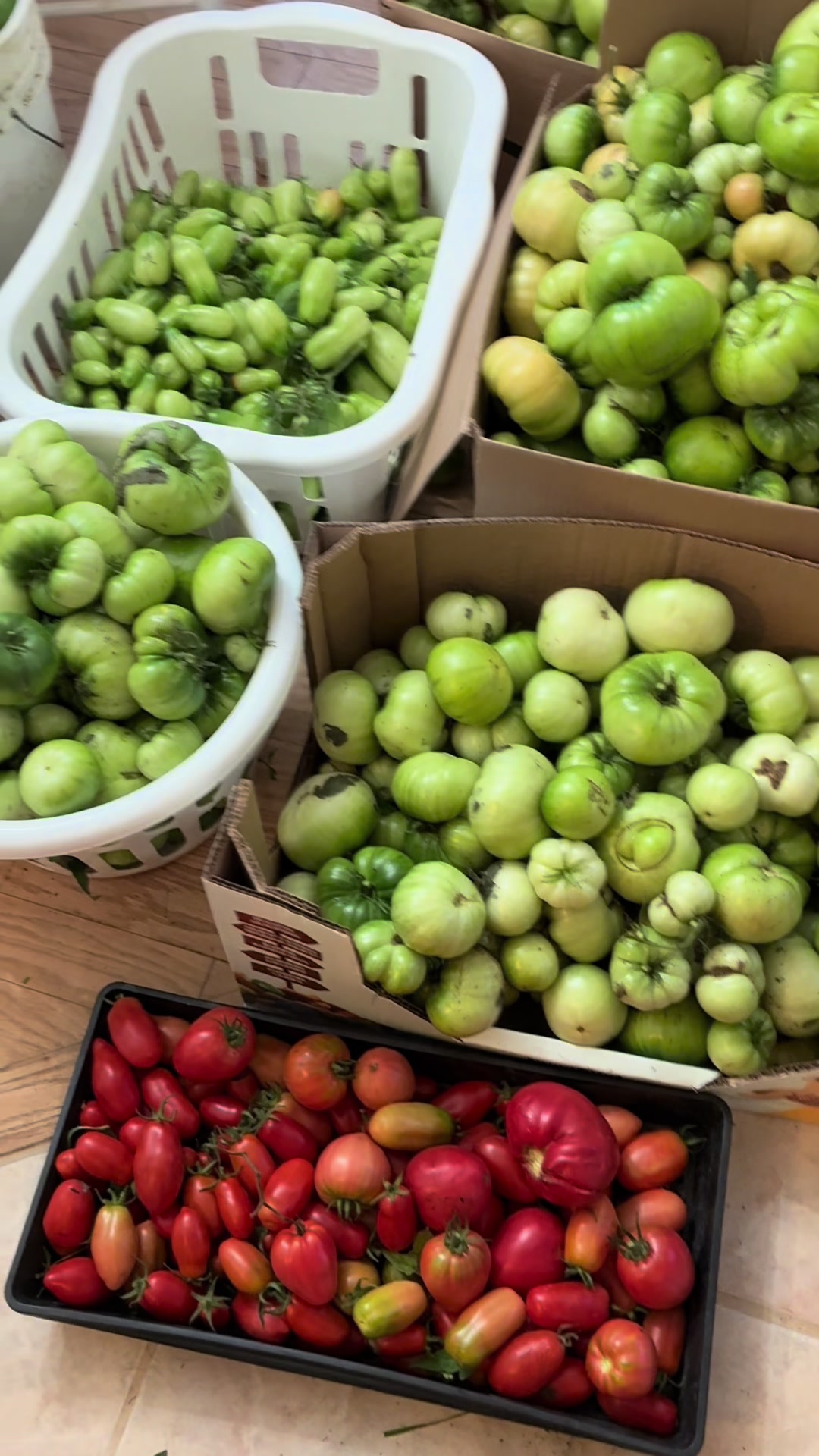 @mybonnyfarms