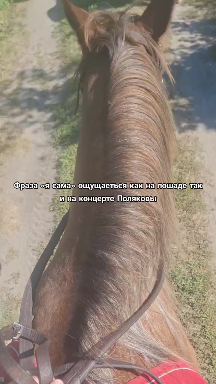 @PolyakovaFan
