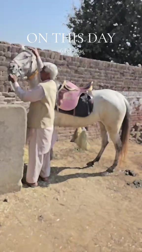 @CH Nabeel GujjAR