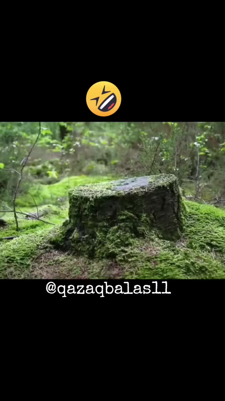@𝐐𝐀𝐙𝐀𝐐 𝐁𝐀𝐋𝐀𝐒𝐈𝐈