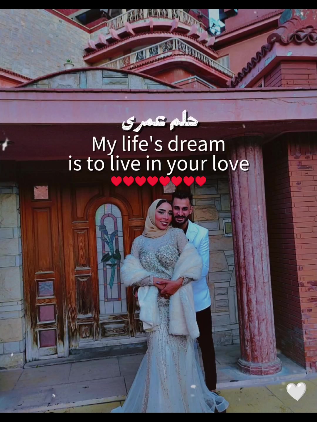 @Menna Elsaid