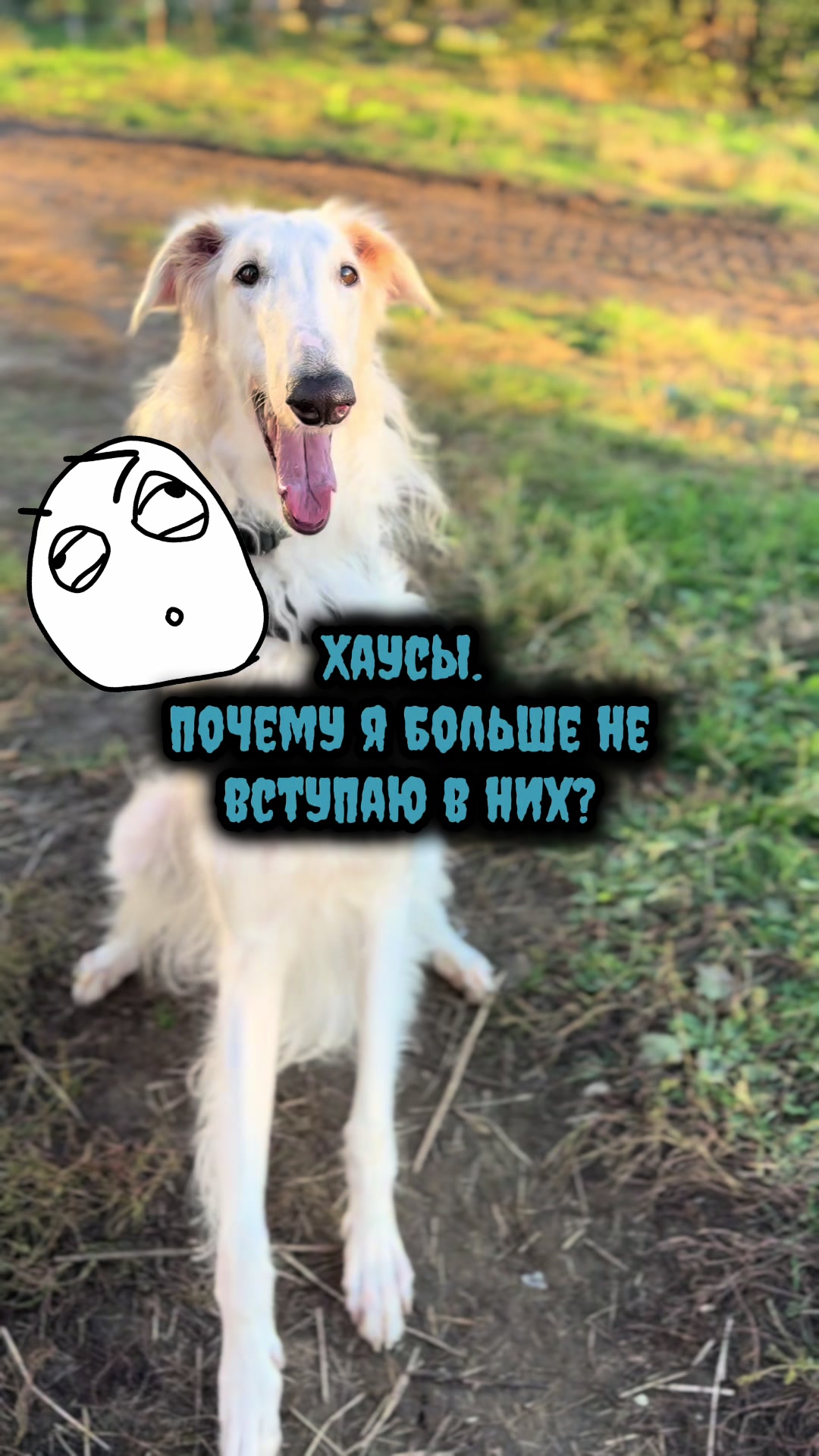 @Кареглазый блондин👁️
