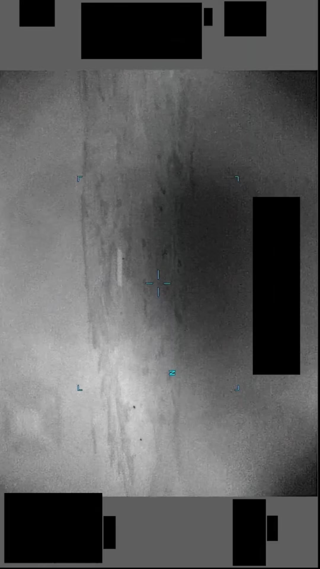 @NonHumanintelligence