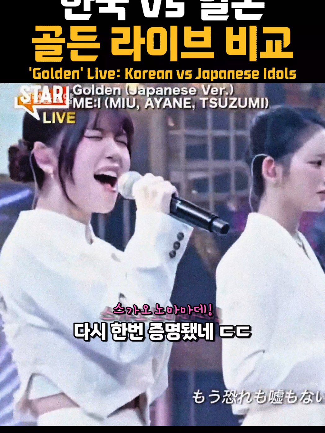 @셀럽볼꼬양