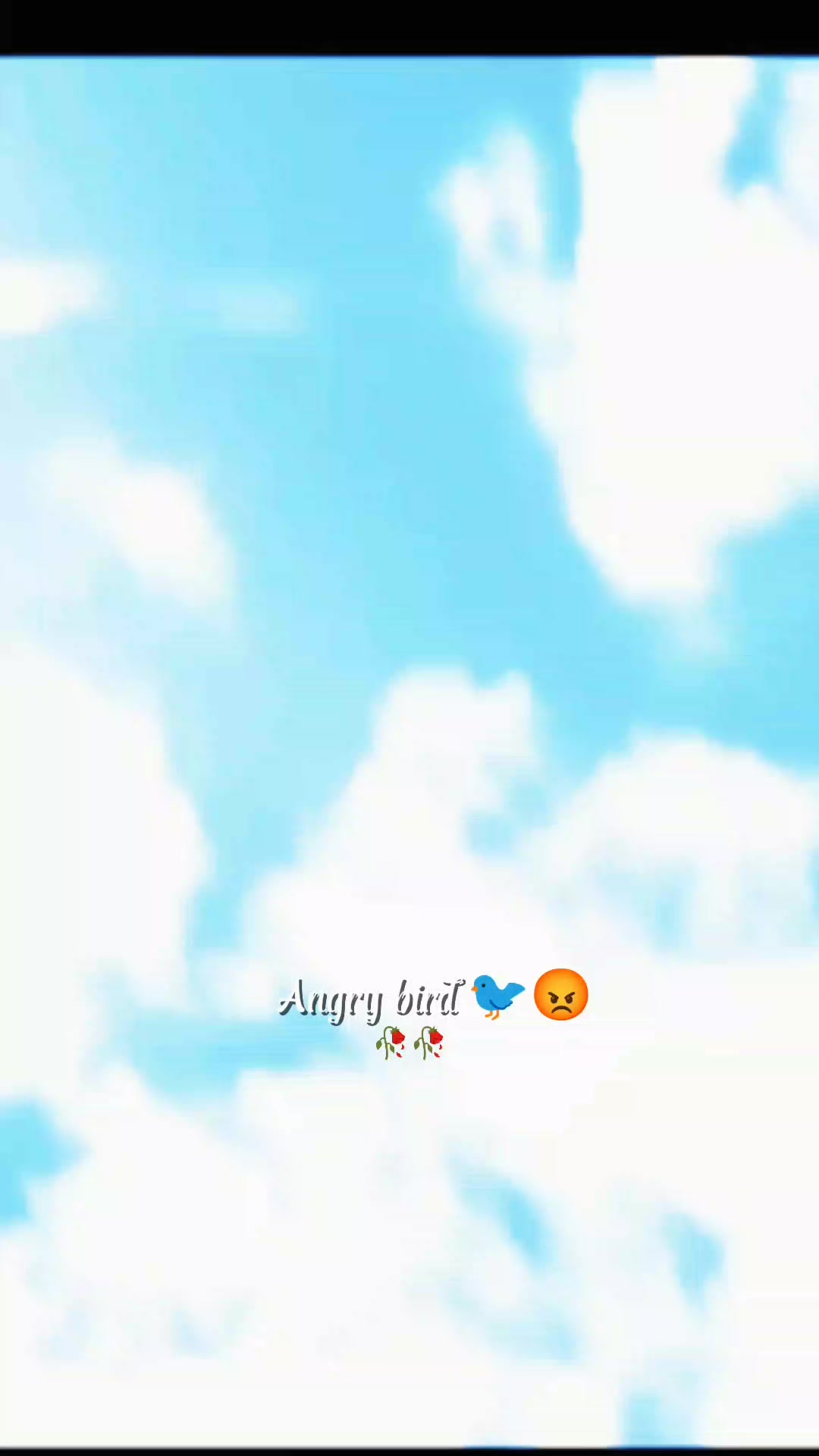 @💫𝖆𝖓𝖌𝖗𝖞 𝖇𝖎𝖗𝖉𝖘💫💥