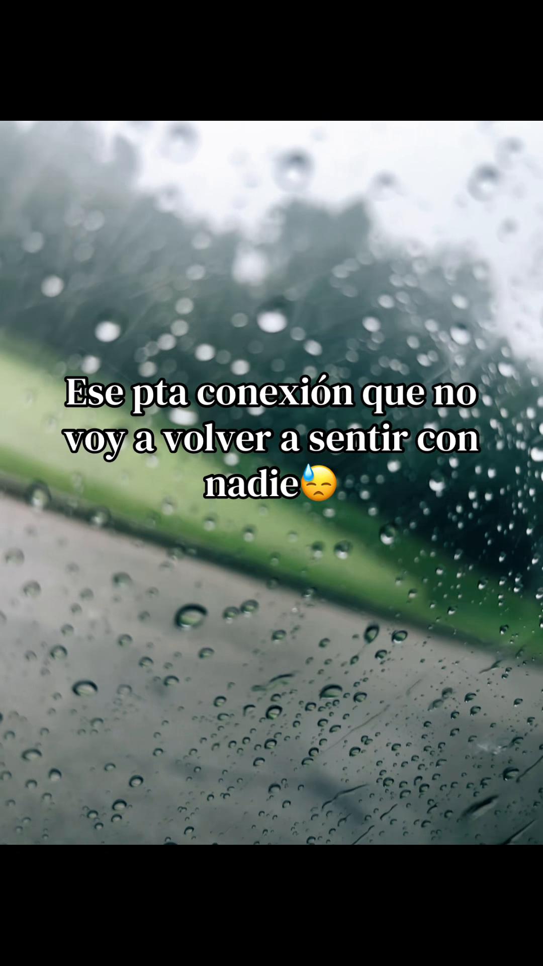 @Alondra Torres