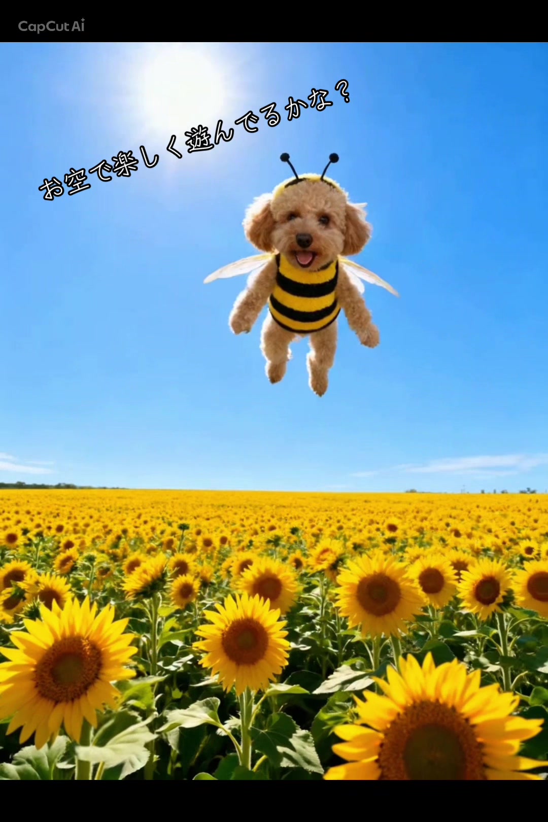 @๐๐ฅmaimai06.27๐ฅ๐