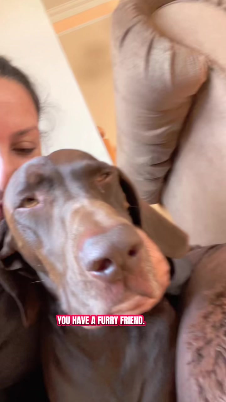 @Rocky_and_mom 🐾❤️🐶