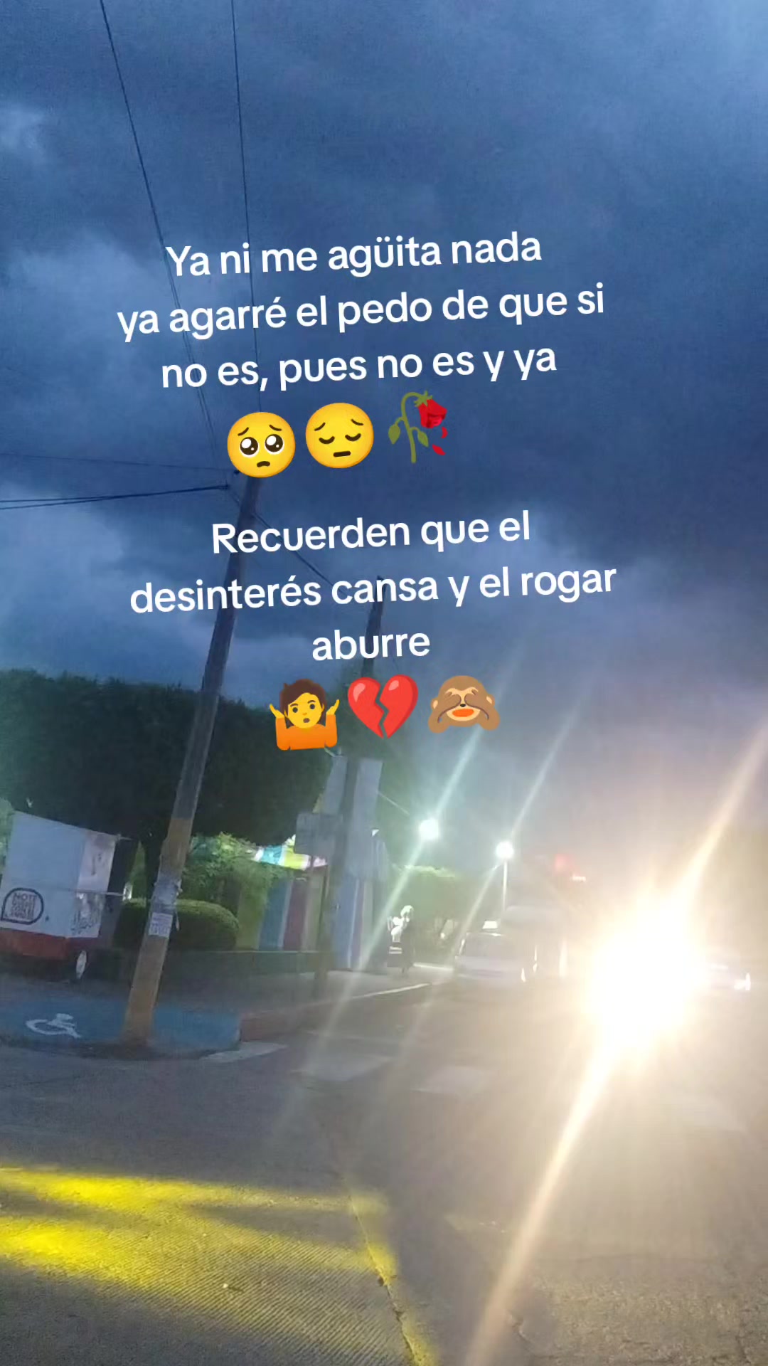 @Isabel Zayas