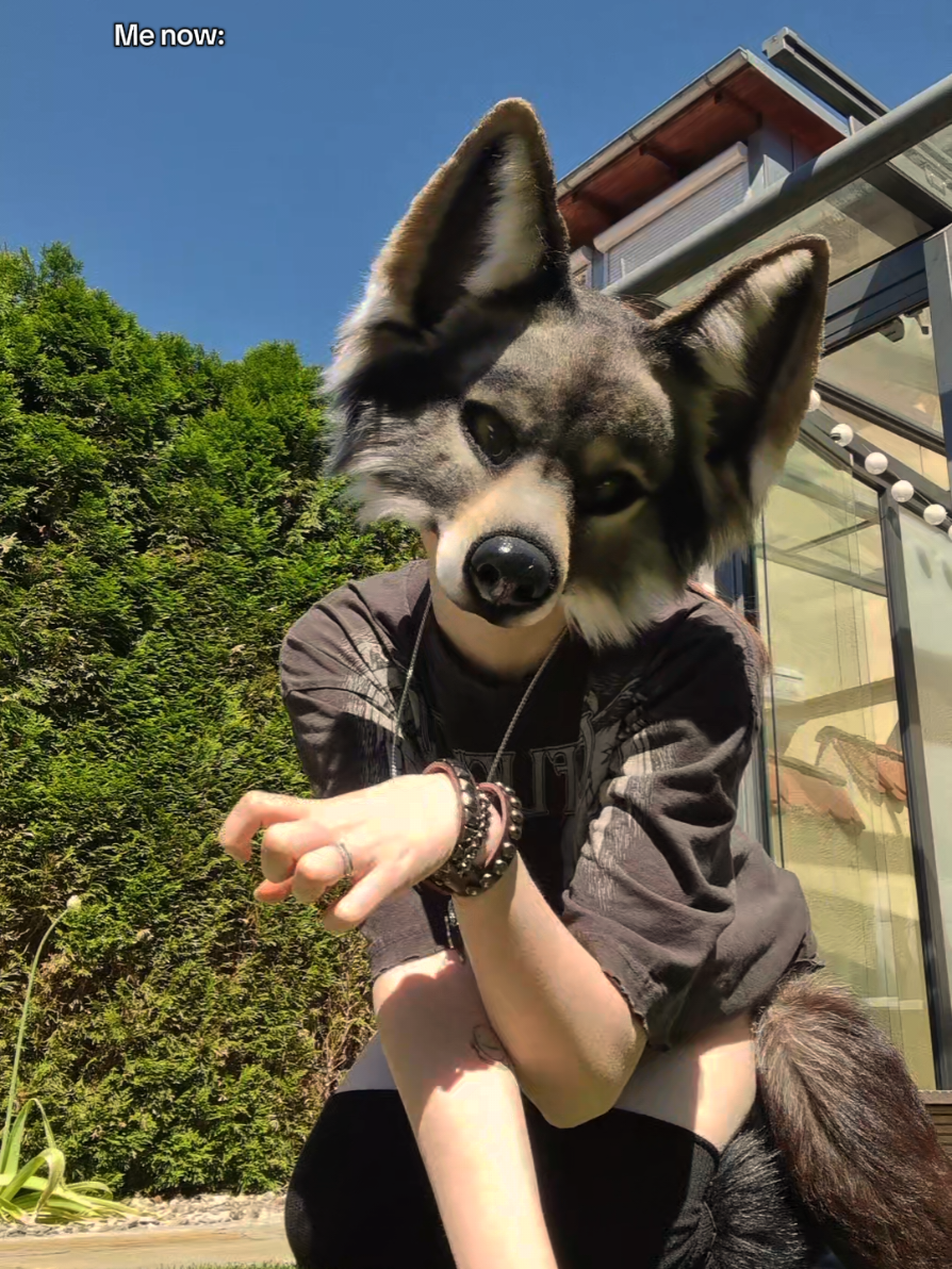 @☆sillydog☆
